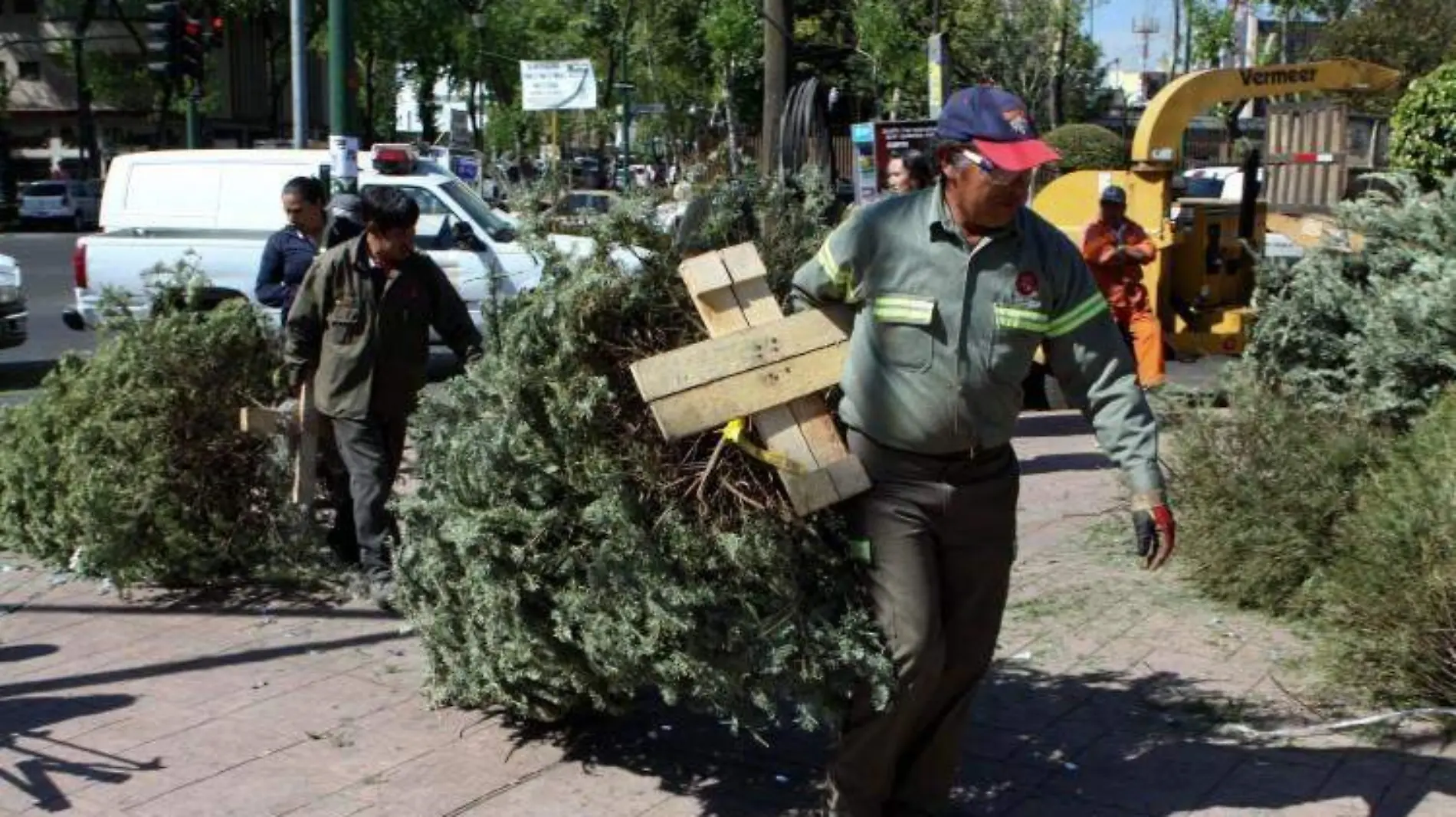 Arbolitos navidad reciclaje 1 1